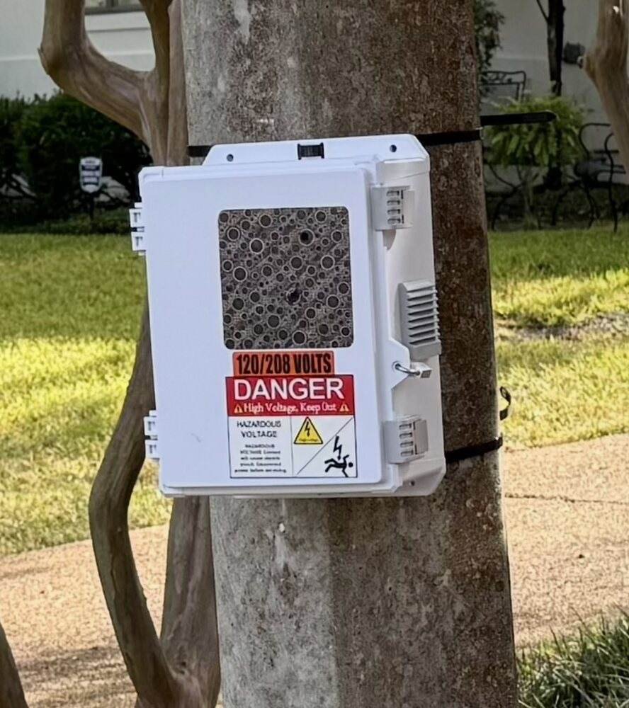 The Foster's surveillance enclosure strapped to a tree trunk outdoors